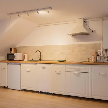 Family Apartment Sighisoara